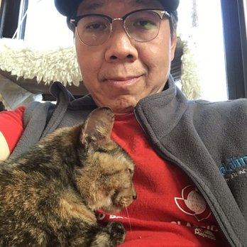 NEKO: A Cat Cafe - Themed Cafes Near Me - Seattle, Washington NEKO: A Cat Cafe - Themed Cafes Near Me - Seattle, Washington