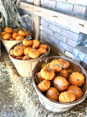 Wallkill View Farm Market by null