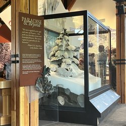 Henry M Jackson Memorial Visitor Center - Museum upstairs across from the gift shop