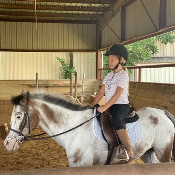 North Texas Equestrian Center - Horse Boarding Near Me - Wylie, Texas