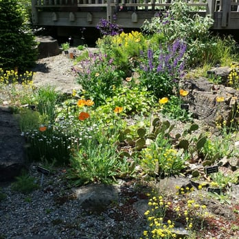 Frelinghuysen Arboretum - Botanical Gardens Near Me - Morristown, New Jersey