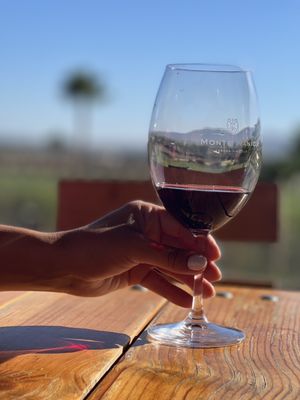 Monte Xanic Bodega Vinícola by null