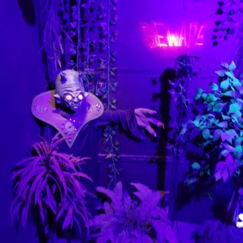 Roswell UFO Spacewalk - Purple dude - Art Galleries Near Me - Roswell, New Mexico Roswell UFO Spacewalk - Purple dude - Art Galleries Near Me - Roswell, New Mexico