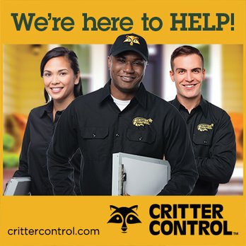 Critter Control - Pest Control Near Me Critter Control - Pest Control Near Me