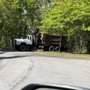 Photo of Southeastern Tree Removal