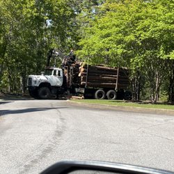 Southeastern Tree Removal - Trees being hauled off leaving rest of the woods still looking great.
