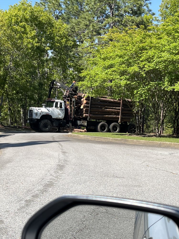 Southeastern Tree Removal - tree service in Columbia, SC