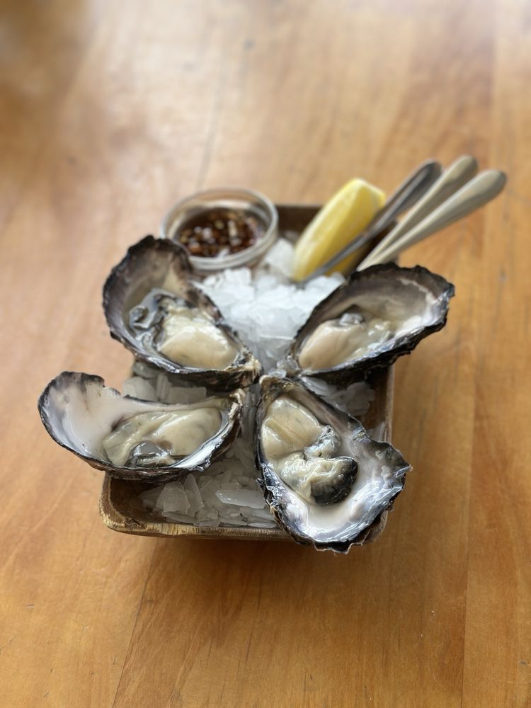 The Shuckers Brothers