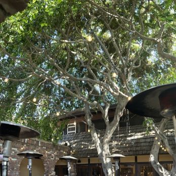 Coffee Connection - And the beautiful tree - Coffee & Tea Near Me - Los Angeles, California Coffee Connection - And the beautiful tree - Coffee & Tea Near Me - Los Angeles, California