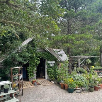 Cape Cod Lavender Farm - Cosmetics & Beauty Supply Near Me - Harwich, Massachusetts