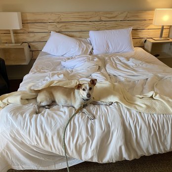 Hummingbird Inn - Dog friendly! - Hotels Near Me - Ojai, California