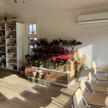 Wild Valentine - Interior - Florists Near Me - Portsmouth, New Hampshire