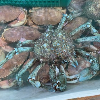 H.C. Seafood - Live crabs - Seafood Near Me - Oxnard, California