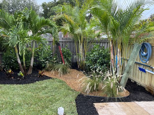Best Plants for Landscape in Clearwater Florida: Top Choices Revealed 2 Best Plants for Landscape in Clearwater Florida: Top Choices Revealed