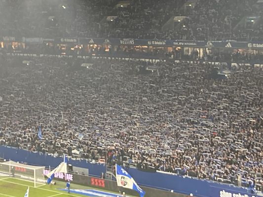 VELTINS-Arena by null