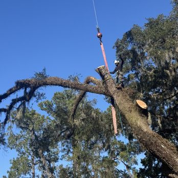 Green Leaf Tree Specialists - Tree Services Near Me Green Leaf Tree Specialists - Tree Services Near Me