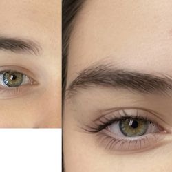 Lash Crave