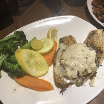 Outback Steakhouse - Steakhouses Near Me - Rocky Mount, North Carolina Outback Steakhouse - Steakhouses Near Me - Rocky Mount, North Carolina