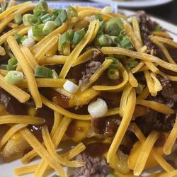 Top Notch Texas BBQ - Cowboy fries - ( fries, nacho cheese, shredded cheese, green onions and choice of meat). So good!