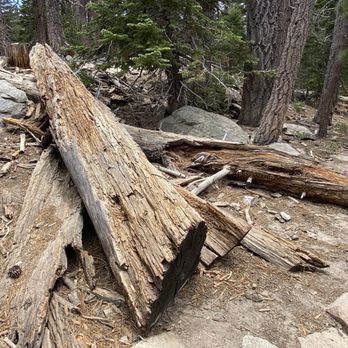 Mount San Jacinto State Park - Parks Near Me - Idyllwild, California