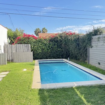 Sprinkler Guys - Before - 10-ft bougainvillea growing over a 6-ft fence - Landscaping Near Me - Los Angeles, California Sprinkler Guys - Before - 10-ft bougainvillea growing over a 6-ft fence - Landscaping Near Me - Los Angeles, California