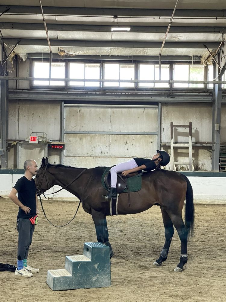 Freedom Woods - equestrian in Morton Grove, IL