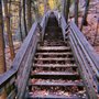 Photo of Rifle River Recreation Area