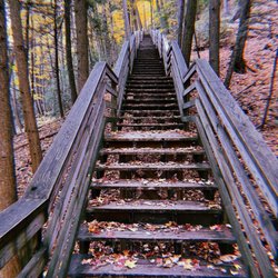 Rifle River Recreation Area - Stairway to Waterfalls