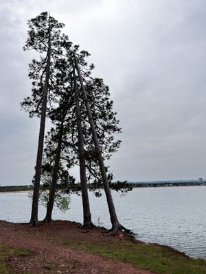 Presque Isle Park by null