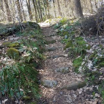 60 Westledge Trails - Watch them steps!! - Hiking Near Me - Simsbury, Connecticut