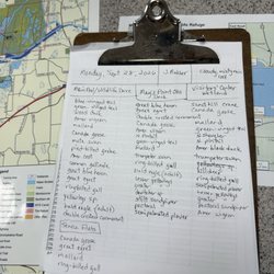 Montezuma National Wildlife Refuge - List of birds spotted the day before!