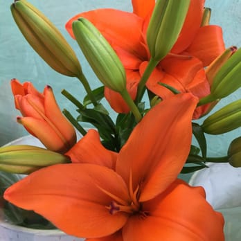 Pablo's Flowers - Lilys - Local Flavor Near Me - Miami, Florida Pablo's Flowers - Lilys - Local Flavor Near Me - Miami, Florida