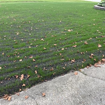 Making Solid Ground Lawn Care - Lawn Services Near Me - Coram, New York