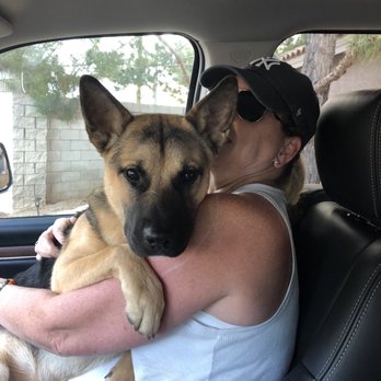 A Home 4 Spot - Adopted - Community Service/Non-Profit Near Me