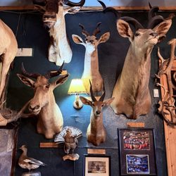 Wild game, anyone?