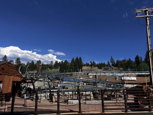 Alpine Slide at Magic Mountain by null