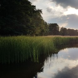 Lübschützer Teiche - Seeblick #3