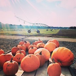 Russo's Fruit & Vegetable Farm