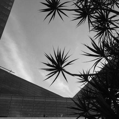 Av. Paulista by null
