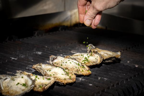 Seawitch Restaurant & Oyster Bar by null