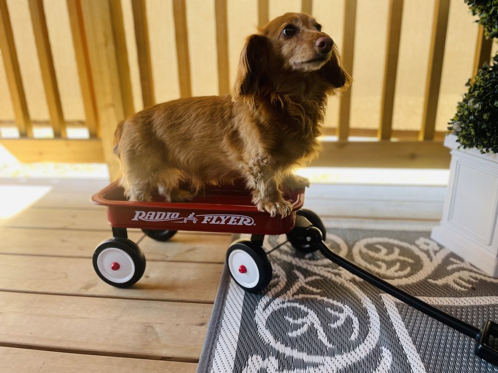 Slide of Sewer Surgeons Nw