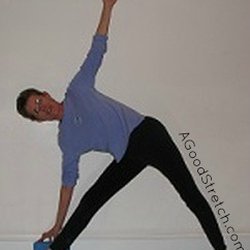 A Quiet Place Yoga and More - Diana in a favorite pose--triangle!