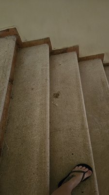 Occidental at Xcaret Destination by null