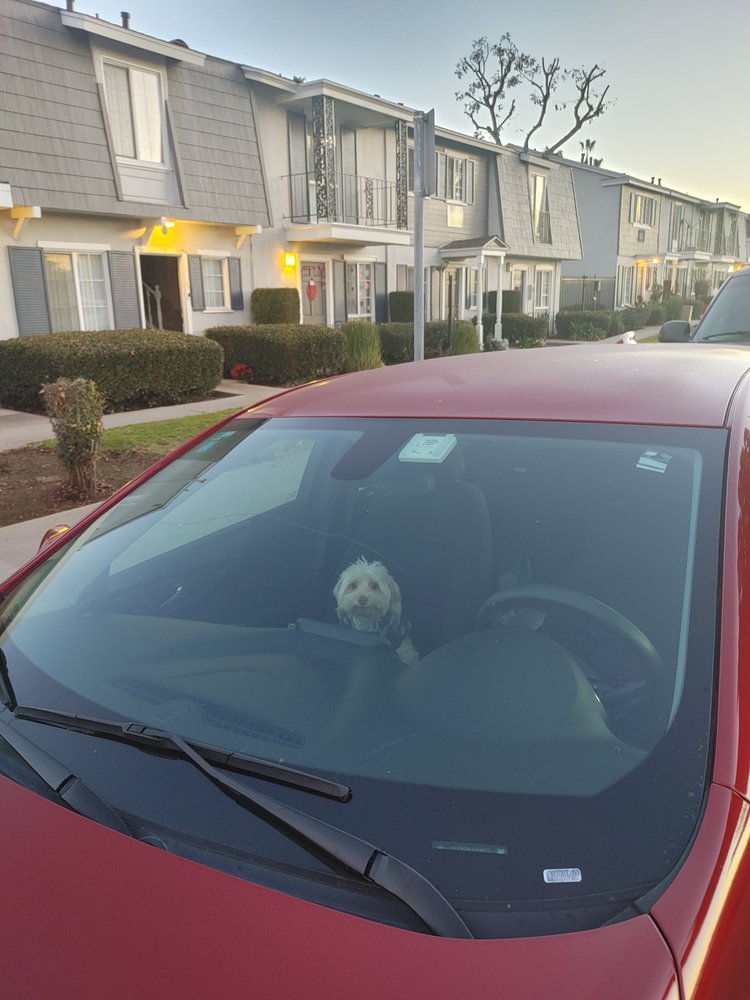 NOLA 624 Updated September 2024 12 Photos & 28 Reviews 624 S