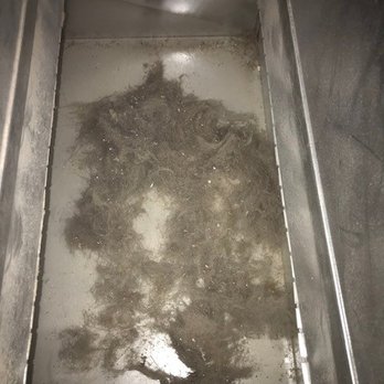 Air Free Duct Cleaning - Air Duct Cleaning Near Me - Urbandale, Iowa Air Free Duct Cleaning - Air Duct Cleaning Near Me - Urbandale, Iowa