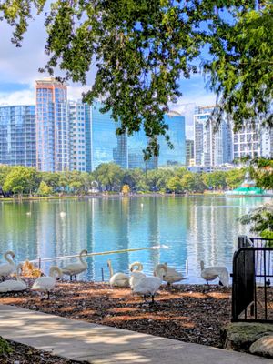 Orlando Farmers' Market by null