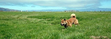 Crissy Field Center by null