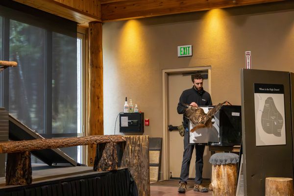 High Desert Museum by null