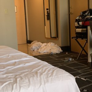 Luxor Hotel And Casino Las Vegas 5442 Photos 4919 Reviews Hotels 3900 Las Vegas Blvd S The Strip Las Vegas Nv Phone Number Luxor Hotel And Casino Las Vegas 5442 Photos 4919 Reviews Hotels 3900 Las Vegas Blvd S The Strip Las Vegas Nv Phone Number