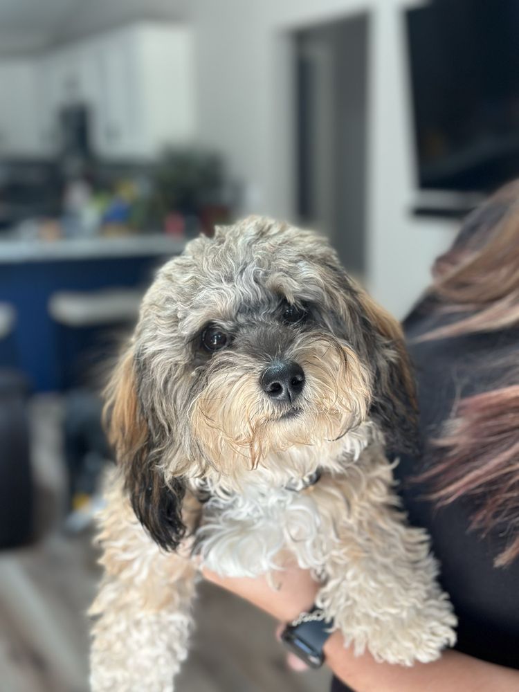 o Jupiter Florida Real Estate For Sale